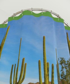 Saguaro Cactus in Desert Shower Curtain - Southwestern Bathroom Decor
