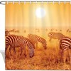 Savanna Sunset Zebras Herd Print Shower Curtain for Bathroom Decor