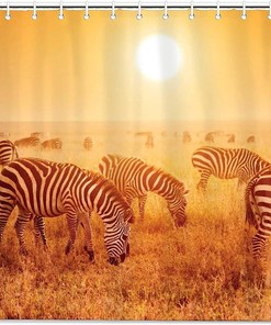 Savanna Sunset Zebras Herd Print Shower Curtain for Bathroom Decor