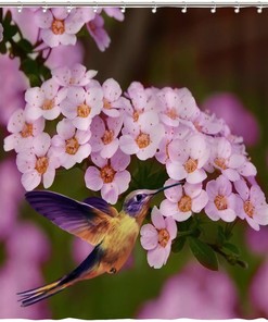 Scenic Nature View Shower Curtain with Hummingbird and Flowers Print