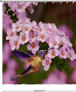 Scenic Nature View Shower Curtain with Hummingbird and Flowers Print