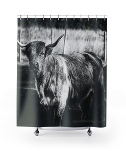 Scottish Cow Shower Curtain In Black And White, Perfect Decoration For Your Farmhouse Bathroom