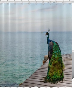 Sea and Peacock Feather Print Shower Curtain for Beach-Themed Bathroom Decor