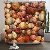 Seashell Nautical Beach Shower Curtain for Bathroom, Fabric Bathroom Decor for Home Bath Curtain
