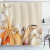 Seashells Printed Shower Curtain For Beach-Loving Bathrooms