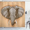 Shower Curtain with Illustration of African Safari Wild Elephant Head for Home Decor by Ikfashoni 
