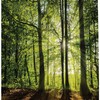 Shower Curtain with Nature Pattern Fabric for a Subtle and Elegant Bathroom Look
