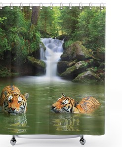 Siberian Tigers in Waterfall for a Natural and Serene Safari Shower Curtain