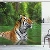 Siberian Wild Cat in Lake Tiger Shower Curtain for Rustic Bathroom Decor