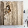 Siberian Wild Tiger Eye Print Safari Shower Curtain For A Bold And Striking Bathroom Look