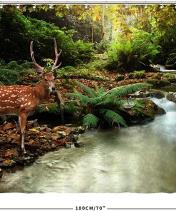 Sika Deer in Stream Print Shower Curtain for Nature Bathroom Decor