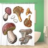 Sketch Drawn Edible Mushrooms Shower Curtain