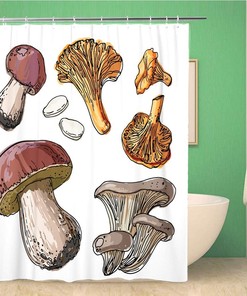 Sketch Drawn Edible Mushrooms Shower Curtain