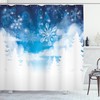 Snowflakes and Stars Winter Shower Curtain 