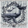 Sperm Whale Ocean Animal Shower Curtain - Custom Durable Fabric