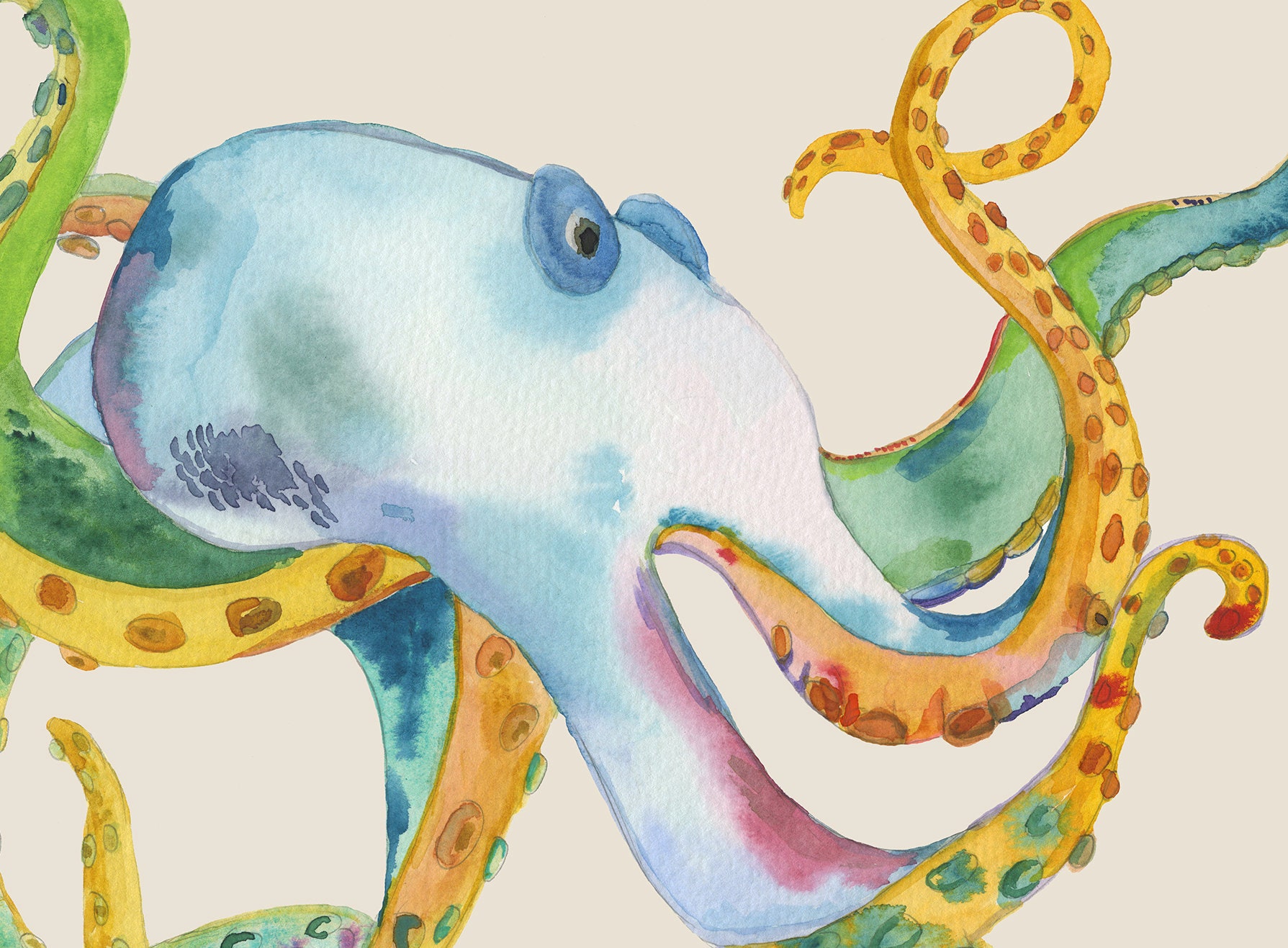 Splendid Watercolor Octopus Shower Curtain: Rainbow Colors.
