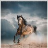 Stallion in Dust Shower Curtain - Majestic Horse-Themed Bathroom Decor 