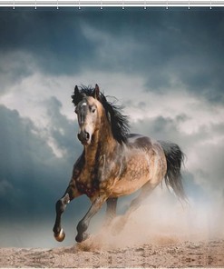 Stallion in Dust Shower Curtain - Majestic Horse-Themed Bathroom Decor 