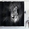 Striking Bengal Tiger Print Shower Curtain In Black And White, Perfect For Any Wildlife Enthusiast