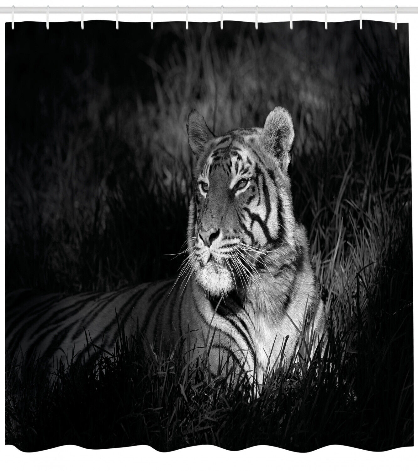 Striking Bengal Tiger Print Shower Curtain In Black And White, Perfect For Any Wildlife Enthusiast - Image 2