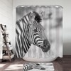 Striking Zebra Photo Shower Curtain In Classic Black And White, Elevate Your Bathroom Decor