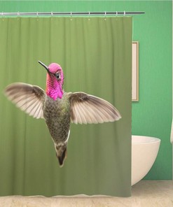 Stunning Male Anna Hummingbird Shower Curtain with Green Face - Waterproof Fabric Bathroom Decor 