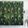 Stunning Peacock Tail Feathers Artwork Shower Curtain - Vibrant Bathroom Decor