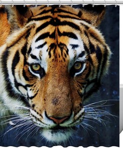 Stylish Tiger Shower Curtain for Modern Bathrooms, 60x72