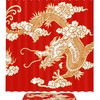 Stylish Waterproof Dragon Shower Curtain