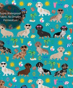 Summer Beach Day Dachshund Yomane Shower Curtain for a Fun and Festive Bathroom