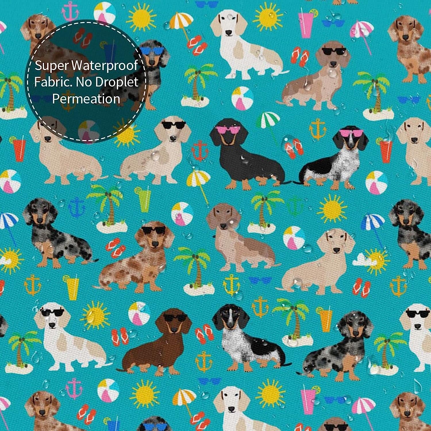 Summer Beach Day Dachshund Yomane Shower Curtain for a Fun and Festive Bathroom