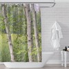Summer Marsh Birch Trees And Reeds Art Print Shower Curtain For Bathroom, Nature Escape