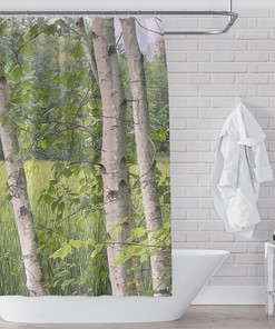 Summer Marsh Birch Trees And Reeds Art Print Shower Curtain For Bathroom, Nature Escape