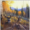 Summer Mule Deer Shower Curtain For A Vibrant Bathroom