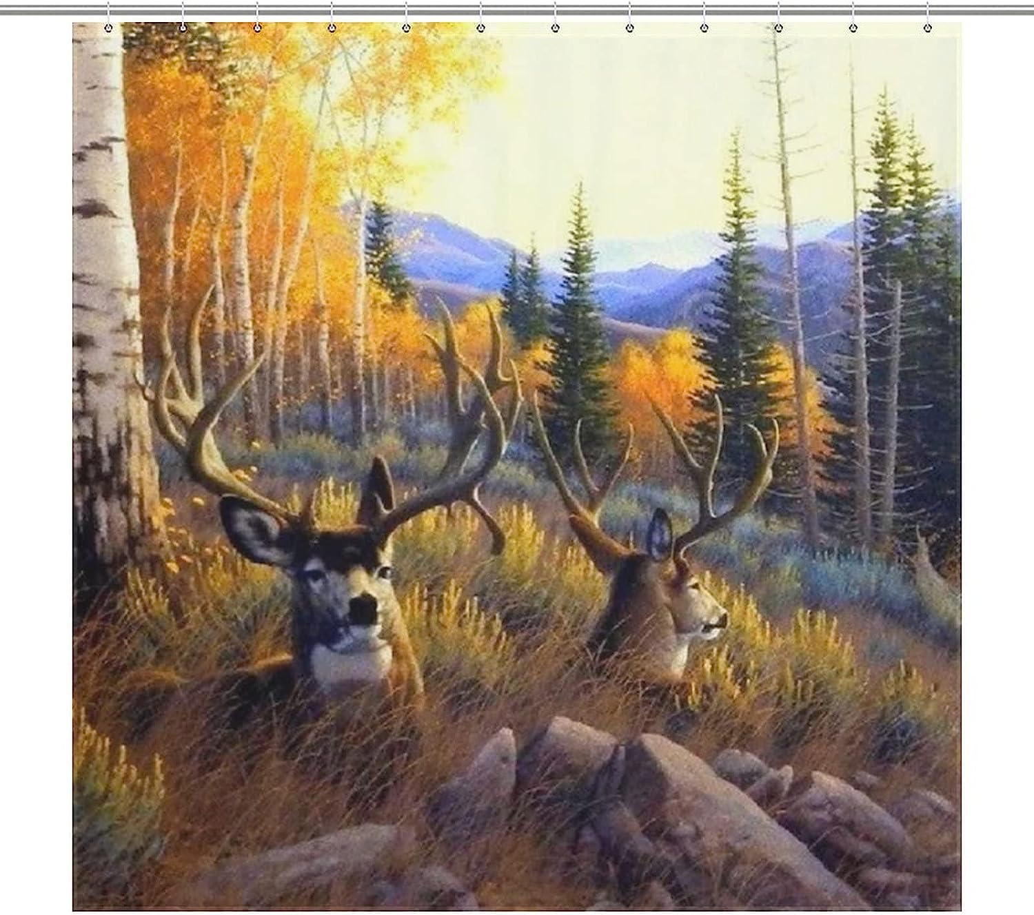 Summer Mule Deer Shower Curtain For A Vibrant Bathroom