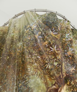 Sunbeam Streams through the Olive Tree Shower Curtain, Cloth Fabric Waterproof Design for Bathroom Decoration