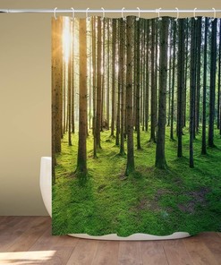 Sunny Nature Birch Forest Shower Curtain with Sunshine Rainforest Landscape for Natural Bathroom Dcor