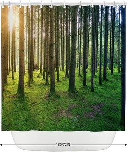 Sunny Nature Birch Forest Shower Curtain with Sunshine Rainforest Landscape for Natural Bathroom Dcor