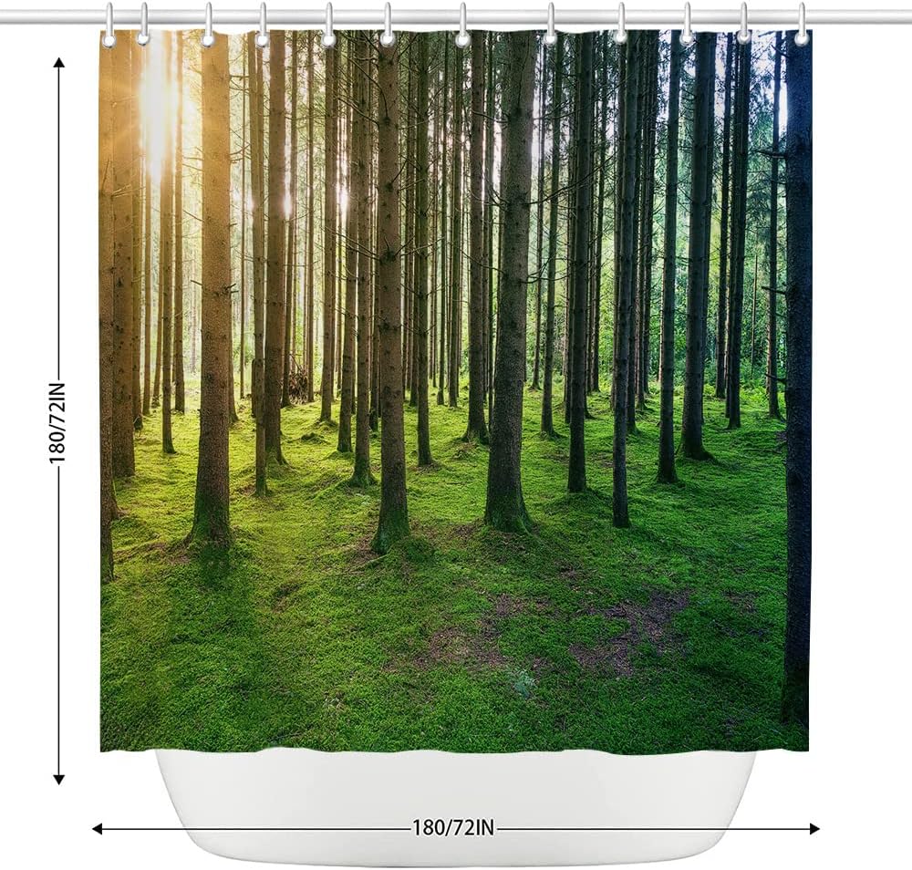 Sunny Nature Birch Forest Shower Curtain with Sunshine Rainforest Landscape for Natural Bathroom Dcor