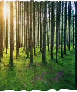 Sunny Nature Birch Forest Shower Curtain with Sunshine Rainforest Landscape for Natural Bathroom Dcor
