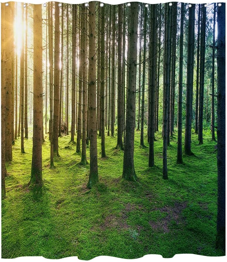 Sunny Nature Birch Forest Shower Curtain with Sunshine Rainforest Landscape for Natural Bathroom Dcor