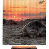 Sunset Beach Turtle Shower Curtain, Waterproof Fabric For Animal Bathroom Decor