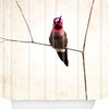 The Little Hummingbird Shower Curtain By Bree Madden - A Refreshing Addition To Your Bathroom