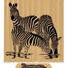 Three Zebras Print Shower Curtain, Waterproof Fabric Bathroom Decor