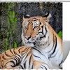 Tiger Forest Luxury Shower Curtain for Bathroom