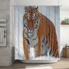 Tigers in Snow Field Snowflake Shower Curtain with Wildlife Design