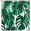 Tingrun Palm Leaves Shower Curtain for Tropical Bathroom Decor