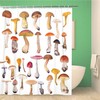 Topyee Large Collection of Mushrooms on Waterproof Orange Toadstool Autumn Birch Shower Curtain for a Natural Bathroom