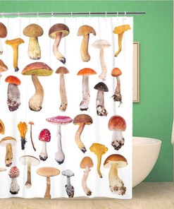 Topyee Large Collection of Mushrooms on Waterproof Orange Toadstool Autumn Birch Shower Curtain for a Natural Bathroom