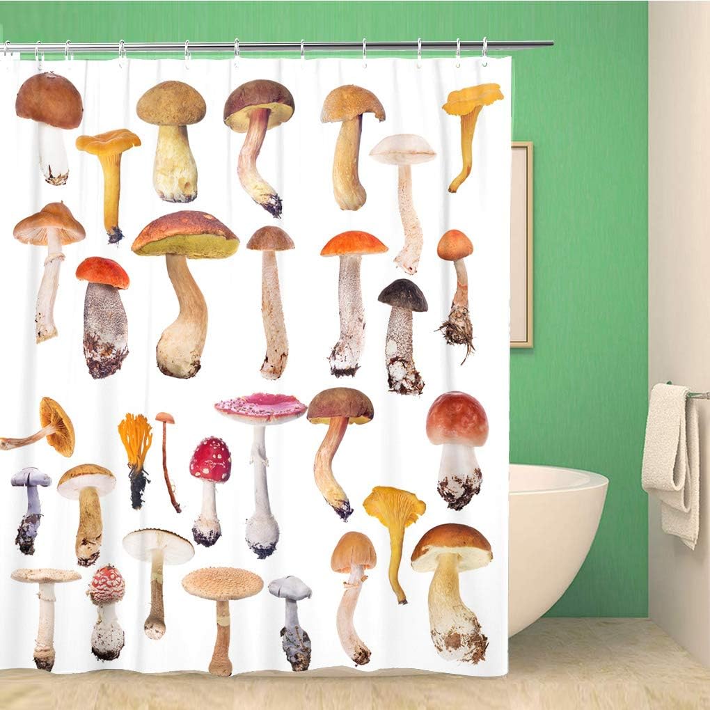 Topyee Large Collection of Mushrooms on Waterproof Orange Toadstool Autumn Birch Shower Curtain for a Natural Bathroom